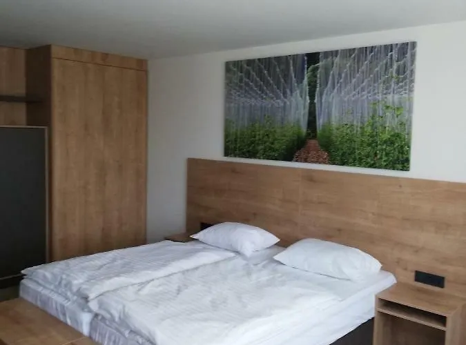 Hotel Hotel Prebold 3*